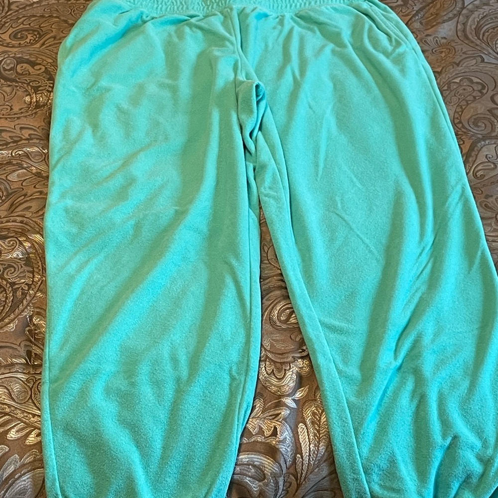 Aqua Jogger Pants